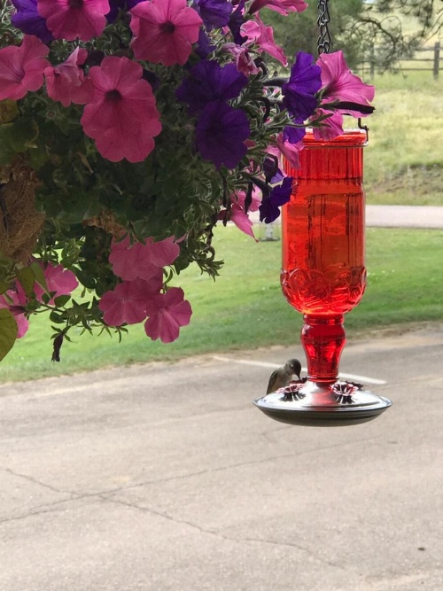 Cripple Creek Hospitality House & Travel Park image 16