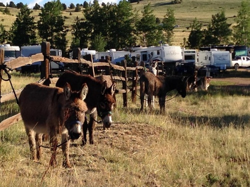 Cripple Creek Hospitality House & Travel Park image 19